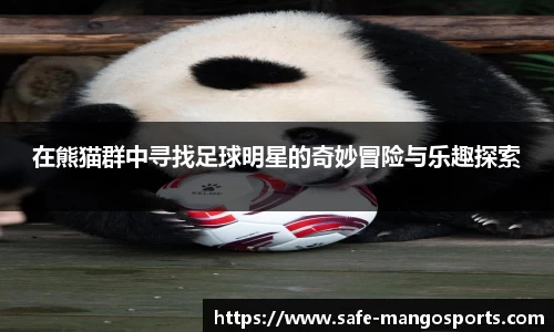 在熊猫群中寻找足球明星的奇妙冒险与乐趣探索